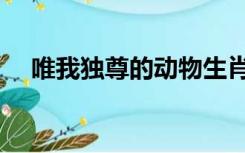 唯我独尊的动物生肖（唯我独尊的意思）