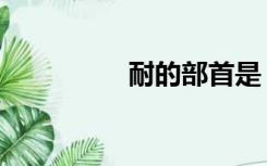 耐的部首是（耐的部首）