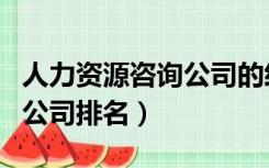 人力资源咨询公司的经营范围（人力资源咨询公司排名）