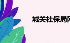 城关社保局网上验证系统
