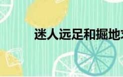 迷人远足和掘地求升（迷人远足）