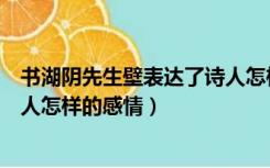 书湖阴先生壁表达了诗人怎样感情（书湖阴先生壁表达了诗人怎样的感情）