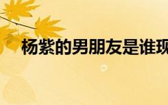 杨紫的男朋友是谁现在（杨紫的男朋友）