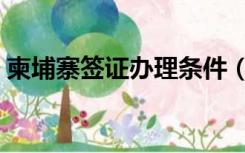 柬埔寨签证办理条件（柬埔寨签证办理流程）