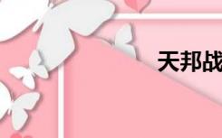 天邦战斗淘宝