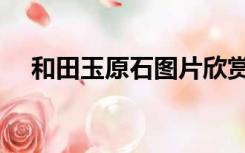 和田玉原石图片欣赏（和田玉原石图片）