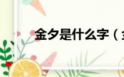 金夕是什么字（金夕是什么意思）