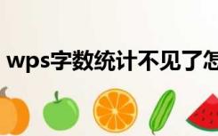 wps字数统计不见了怎么办（wps字数统计）