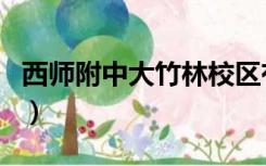 西师附中大竹林校区有高中吗（西师附中官网）