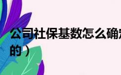 公司社保基数怎么确定（公司社保基数怎么算的）