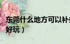 东莞什么地方可以补办身份证（东莞什么地方好玩）