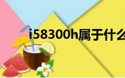i58300h属于什么档次（i58300h）