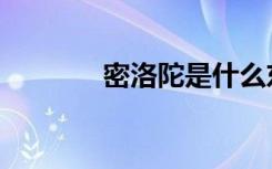 密洛陀是什么东西（密洛陀）