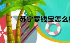 苏宁零钱宝怎么样（苏宁零钱宝）
