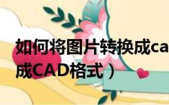 如何将图片转换成cad线条（如何将图片转换成CAD格式）