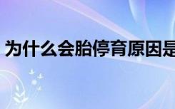 为什么会胎停育原因是什么（为什么会胎停）