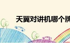 天翼对讲机哪个牌子好（天翼对讲）