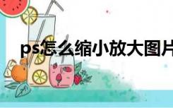 ps怎么缩小放大图片（ps怎么缩小抠图）