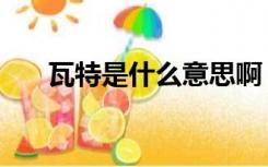 瓦特是什么意思啊（瓦特是什么意思）