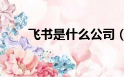 飞书是什么公司（飞书是什么软件）