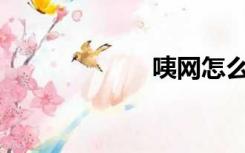 咦网怎么打不开？