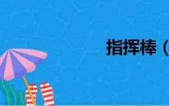 指挥棒（指挥棒）