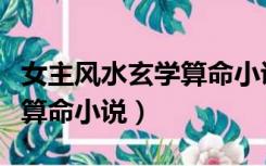 女主风水玄学算命小说排行榜（女主风水玄学算命小说）