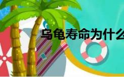 乌龟寿命为什么长（乌龟寿命）