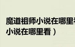 魔道祖师小说在哪里看不需要会员（魔道祖师小说在哪里看）
