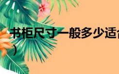书柜尺寸一般多少适合（书柜尺寸一般是多少）