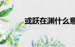或跃在渊什么意思（或跃在渊）