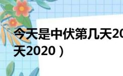 今天是中伏第几天2018年（今天是中伏第几天2020）