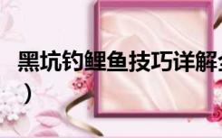黑坑钓鲤鱼技巧详解全攻略（黑坑钓鲤鱼技巧）