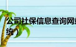 公司社保信息查询网站（公司社保信息查询系统）
