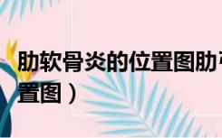 肋软骨炎的位置图肋弓处疼痛（肋软骨炎的位置图）