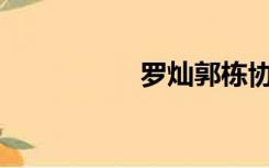 罗灿郭栋协助你刷钻？