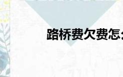 路桥费欠费怎么查（路桥费）