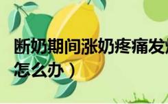 断奶期间涨奶疼痛发烧怎么办（断奶期间涨奶怎么办）