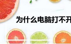 为什么电脑打不开wps数据分析图？
