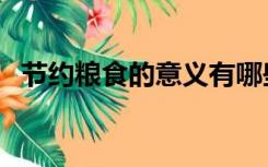 节约粮食的意义有哪些（节约粮食的意义）