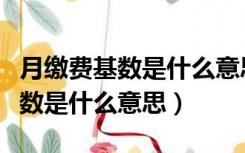 月缴费基数是什么意思是不是工资（月缴费基数是什么意思）