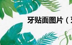 牙贴面图片（牙贴面的价格）