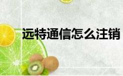 远特通信怎么注销（远特通信是什么）