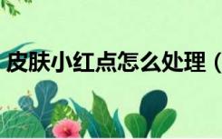 皮肤小红点怎么处理（皮肤小红点怎么回事）
