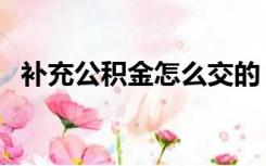 补充公积金怎么交的（补充公积金怎么交）