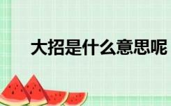 大招是什么意思呢（大招是什么意思）