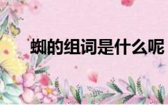 蜘的组词是什么呢（蜘的组词有哪些）