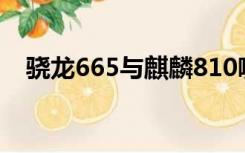 骁龙665与麒麟810哪个厉害（骁龙665）