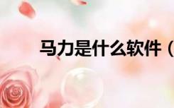 马力是什么软件（马力是什么意思）