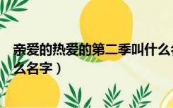 亲爱的热爱的第二季叫什么名字（亲爱的热爱的第二季叫什么名字）